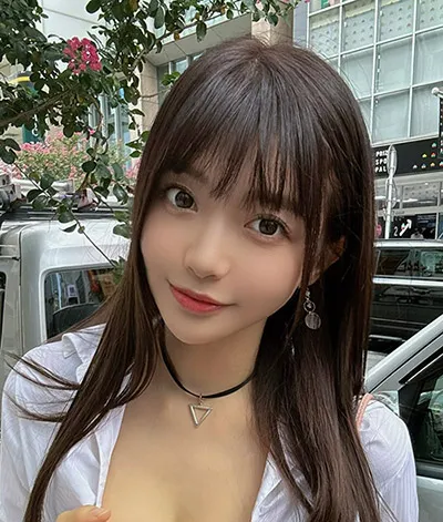 白色回声 医疗剧全集手机观看