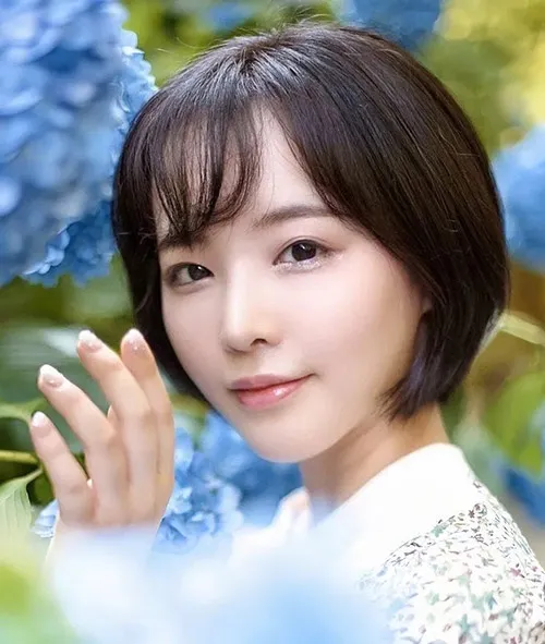 雪线之上 更新